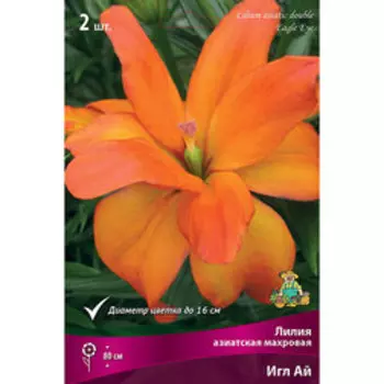 Лилия Азиатская махровая Игл Ай (2 шт.)