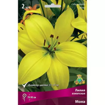 Лилия Азиатская Мона (2 шт.)