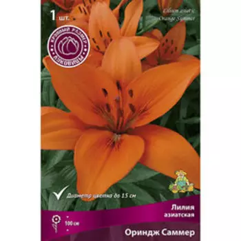 Лилия Азиатская Ориндж Саммер (1 шт.)