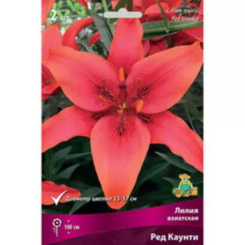 Лилия Азиатская Ред Каунти (2 шт.)