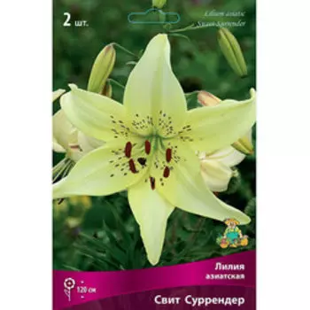 Лилия Азиатская Свит Суррендер (2шт.)