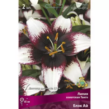 Лилия Азиатская Танго Блэк Ай (2 шт.)