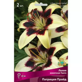 Лилия Азиатская Танго Патриция Прайд (2 шт.)