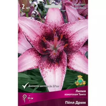 Лилия Азиатская Танго Пёпл Дрим (2 шт.)