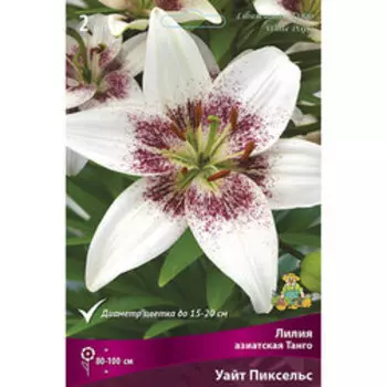 Лилия Азиатская Танго Уайт Пиксельc (2 шт.)