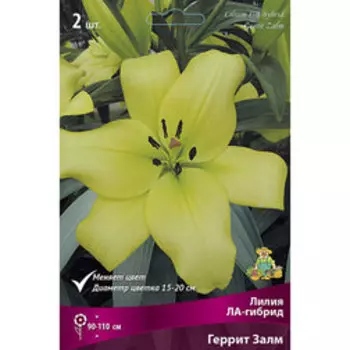 Лилия ЛА-гибрид Геррит Залм (2 шт.)