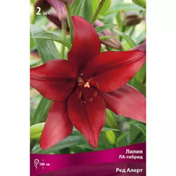 Лилия ЛА-Гибрид Ред Алерт (2 шт.)