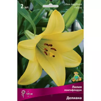 Лилия Лонгифлорум Делиана (2 шт.)