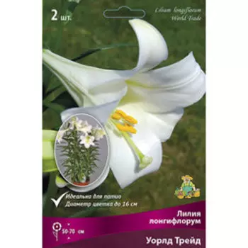 Лилия Лонгифлорум Уорлд Трейд (2 шт.)