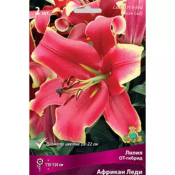 Лилия ОТ-гибрид Африкан Леди (2 шт.)