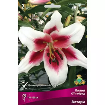 Лилия ОТ-гибрид Алтари (2 шт.)