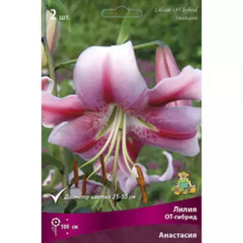 Лилия ОТ-Гибрид Анастасия (2 шт.)