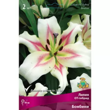 Лилия ОТ-Гибрид Бонбини (2 шт.)