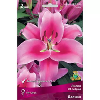 Лилия ОТ-гибрид Далиан (2 шт.)