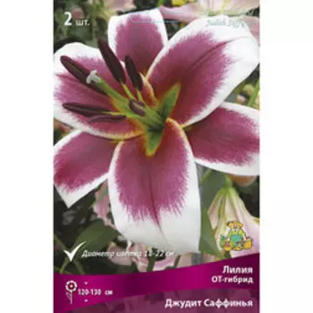 Лилия ОТ-гибрид Джудит Саффинья (2 шт.)