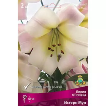 Лилия ОТ-гибрид Истерн Мун (2 шт.)