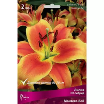 Лилия ОТ-Гибрид Монтего Бей (2 шт.)
