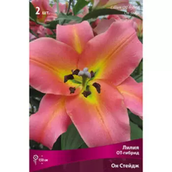 Лилия ОТ-Гибрид Он Стейдж (2 шт.)