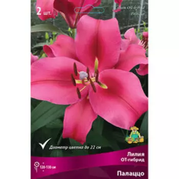 Лилия ОТ-гибрид Палаццо (2 шт.)