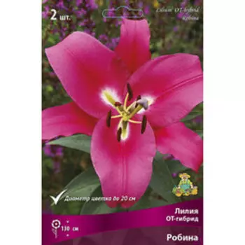 Лилия ОТ-Гибрид Робина (2 шт.)