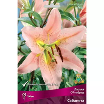 Лилия ОТ-Гибрид Сабанета (2 шт.)