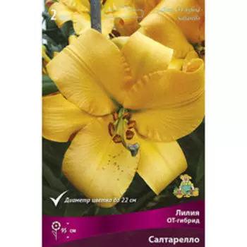 Лилия ОТ-Гибрид Салтарелло (2 шт.)