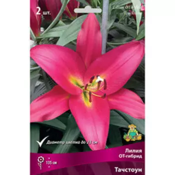 Лилия ОТ-Гибрид Тачстоун (2шт.)