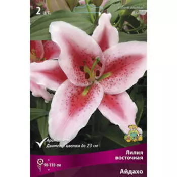 Лилия Восточная Айдахо (2 шт.)