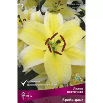 Лилия Восточная Брейк-данс (2 шт.)