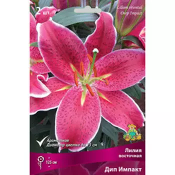 Лилия Восточная Дип Импакт (2 шт.)