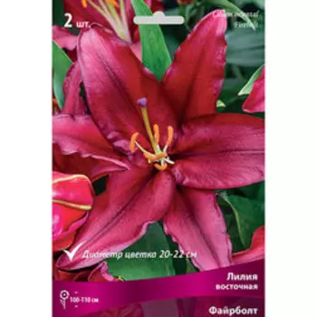 Лилия Восточная Файрболт (2 шт.)