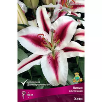 Лилия Восточная Хати (2шт.)