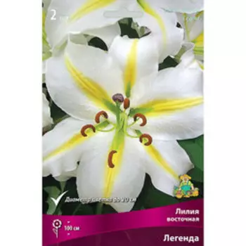 Лилия Восточная Легенда (2 шт.)
