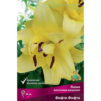 Лилия Восточная махровая Фифти Фифти (1 шт.)