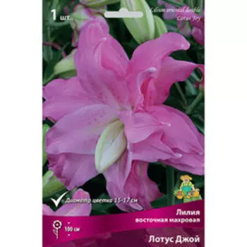 Лилия Восточная махровая Лотус Джой (1шт.)