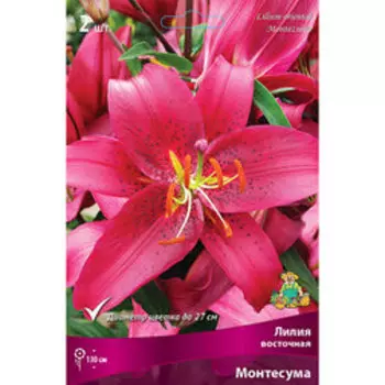 Лилия Восточная Монтесума (2 шт.)