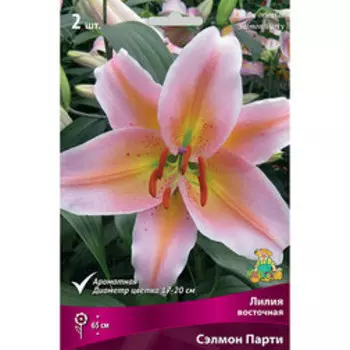 Лилия Восточная Сэлмон Парти (2шт.)