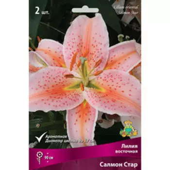 Лилия Восточная Салмон Стар (2 шт.)