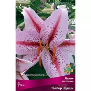 Лилия Восточная Тайгер Эдишн (2 шт.)