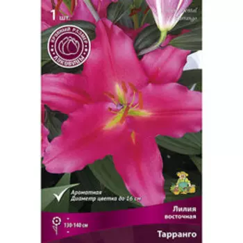 Лилия Восточная Тарранго (1шт.)