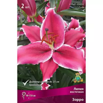 Лилия Восточная Зорро (2 шт.)