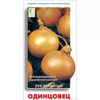 Лук репчатый Одинцовец