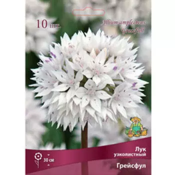Лук узколистный Грейсфул (10шт.)
