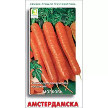Морковь Амстердамска