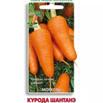Морковь Курода Шантанэ