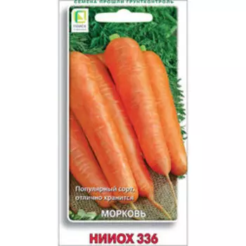 Морковь НИИОХ 336