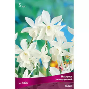 Нарцисс Триадрусовый Талия (5 шт.)