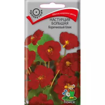 Настурция большая Коричневый блик