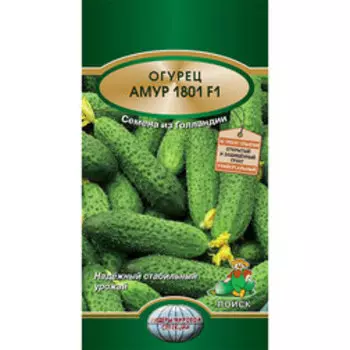 Огурец Амур 1801 F1