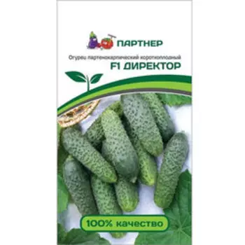 Огурец Директор F1